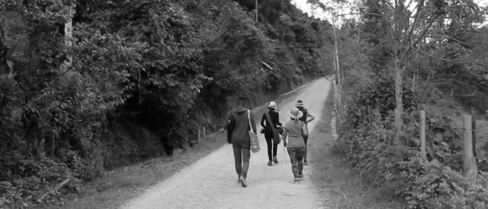 Caminata ecológica.