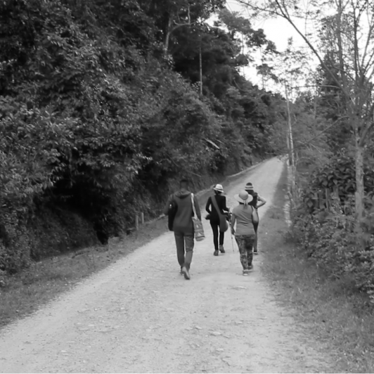 Caminata ecológica. 