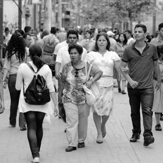 inspección a los aportes al sistema de protección social